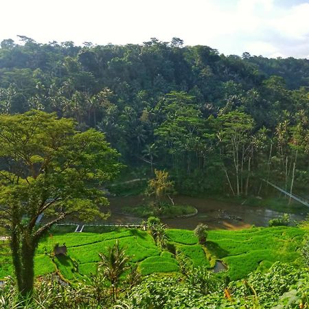 Puri Bunga Resort Ubud Zewnętrze zdjęcie