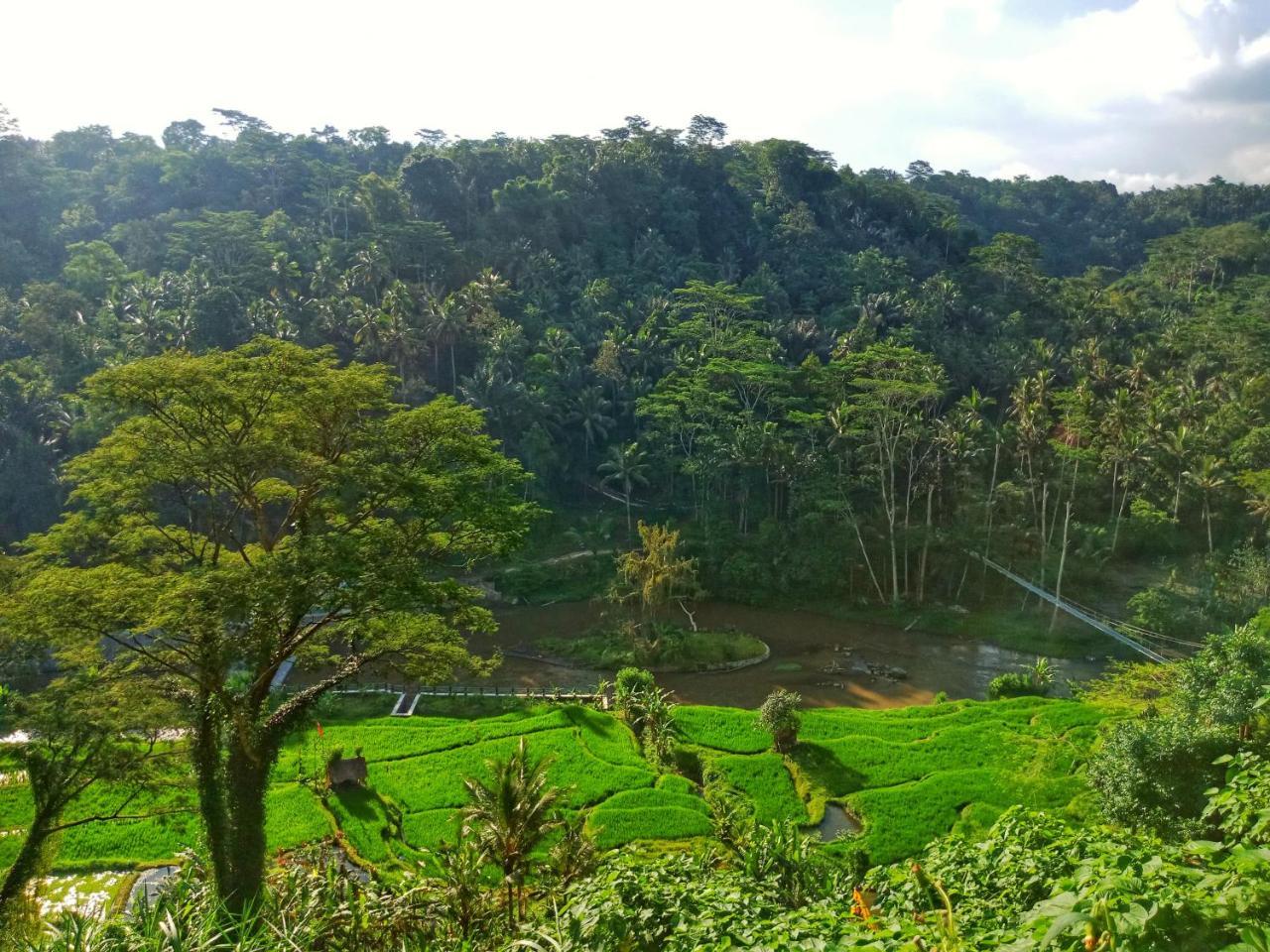 Puri Bunga Resort Ubud Zewnętrze zdjęcie